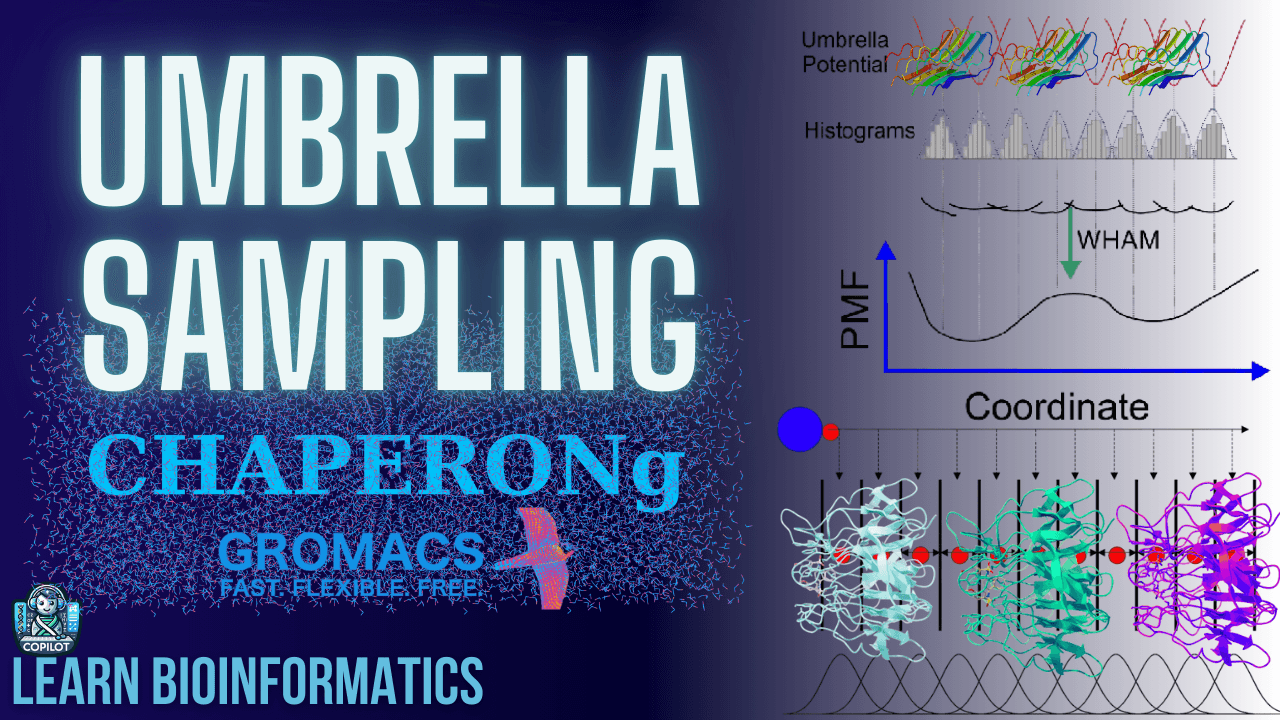 Molecular Dynamics Simulation Playlist